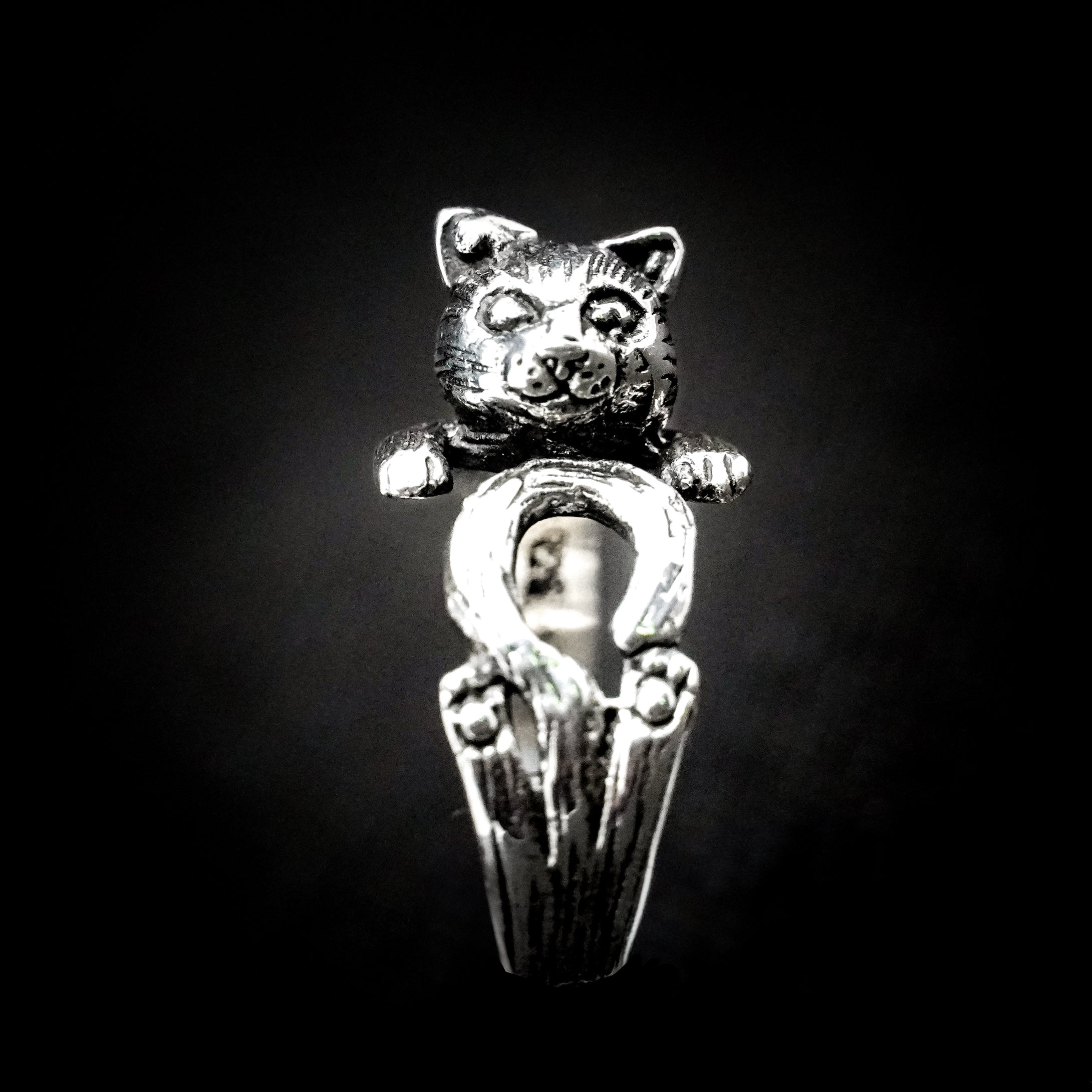 ANILLO GATO