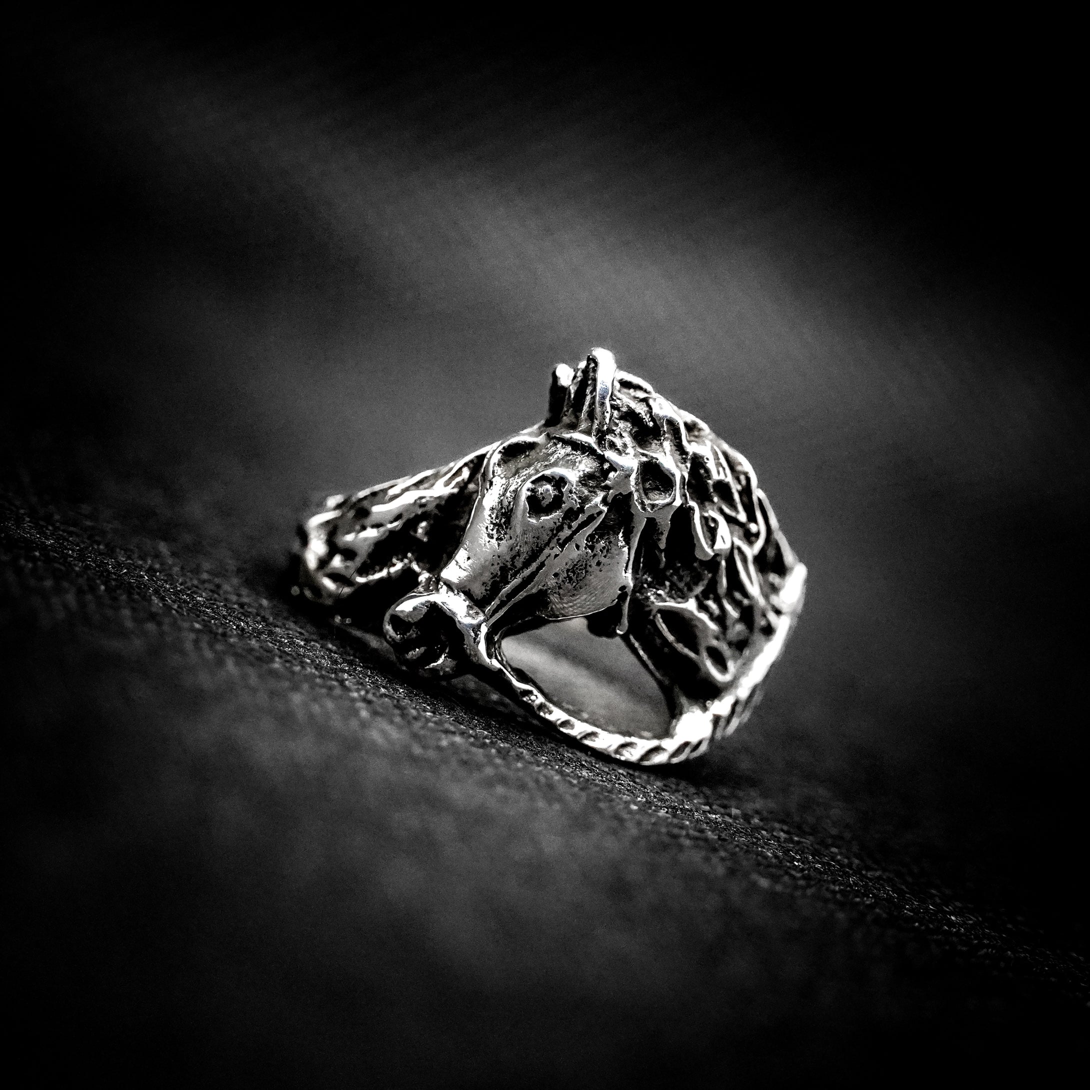 ANILLO CABALLO