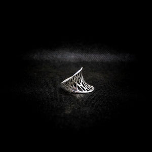 ANILLO CELESTE
