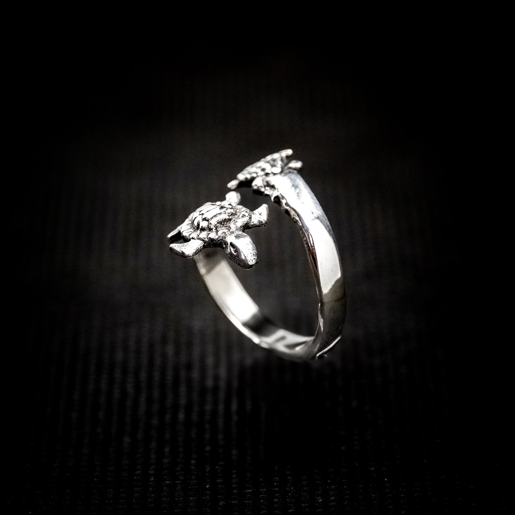 ANILLO TORTUGAS