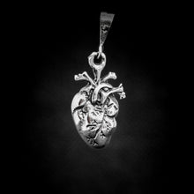 Cargar imagen en el visor de la galería, DIJE CORAZÓN ANATÓMICO
