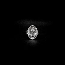 Cargar imagen en el visor de la galería, ANILLO VIRGEN DE MEDJUGORJE
