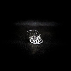 ANILLO CELESTE