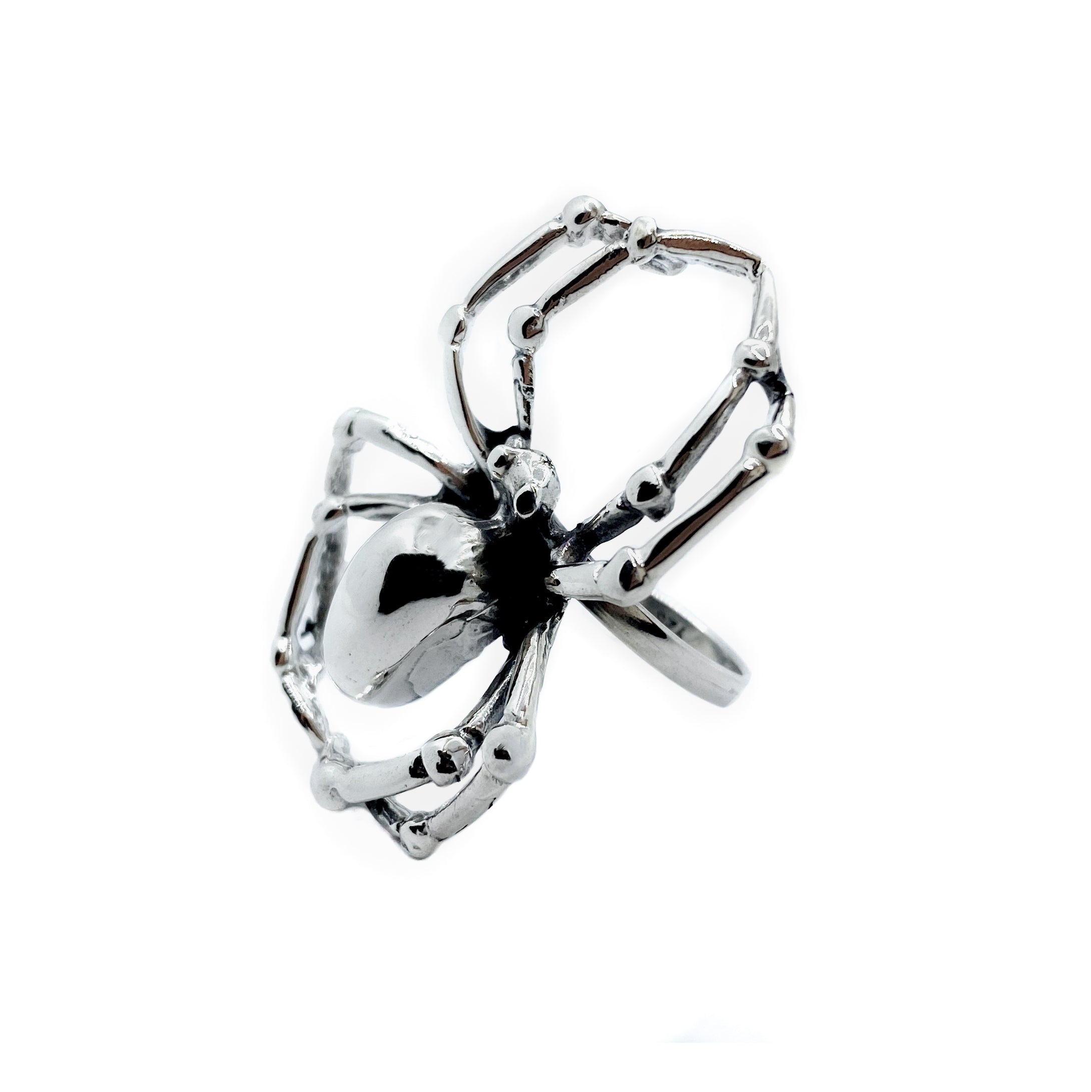 ANILLO ARÁCNIDO