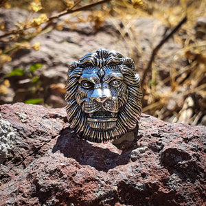 ANILLO LEÓN