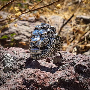 ANILLO LEÓN